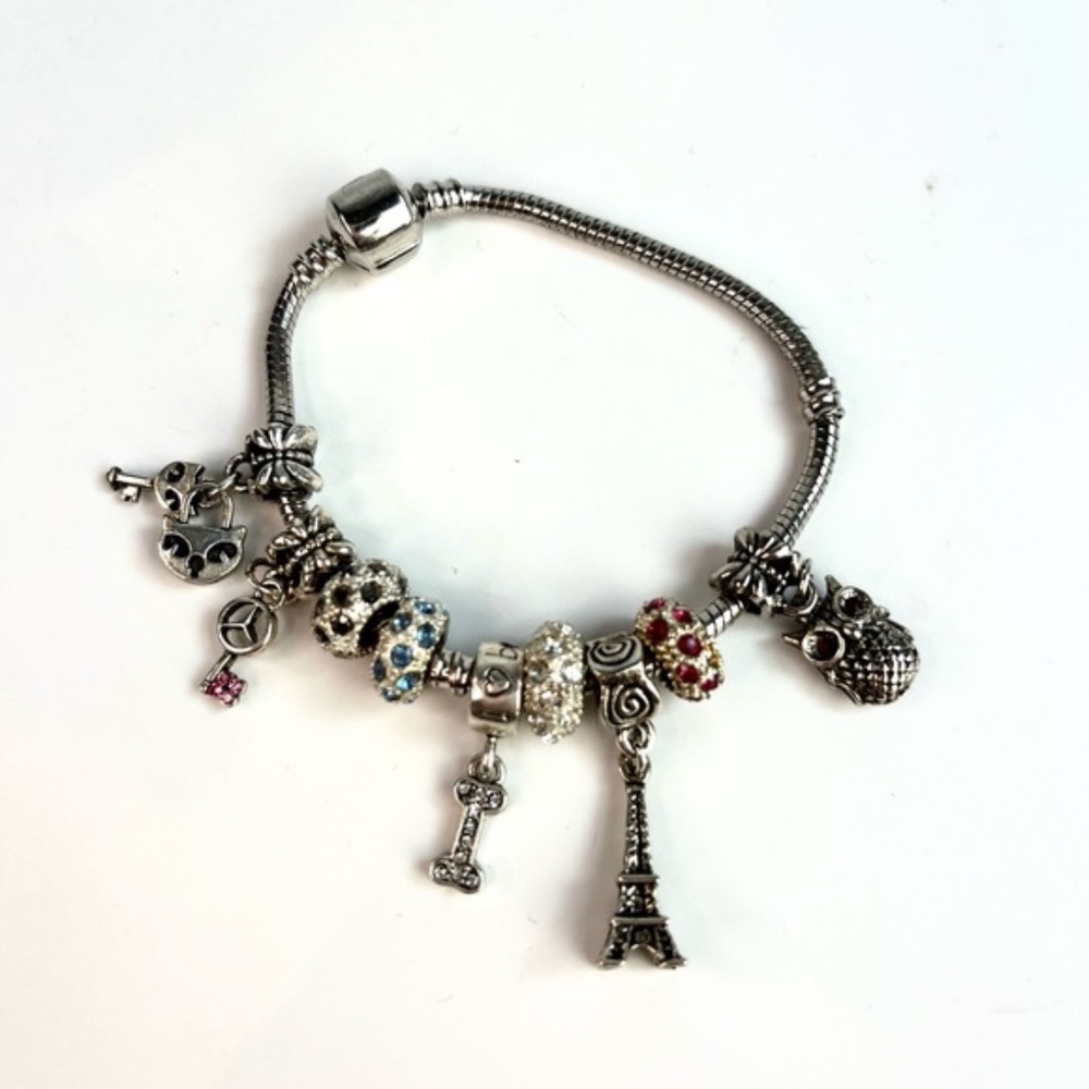 Pandora Sterling Silver Snake-Chain Charm Bracelet
